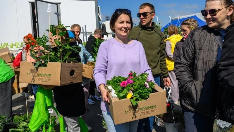 Традиционная. Родная. Островная