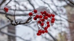 Сильный ветер принесет в Южно-Сахалинск ощущение мороза до -8 градусов