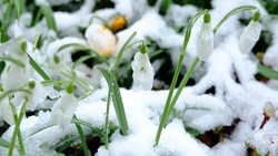 Потепление до +5 градусов прогнозируют в Южно-Сахалинске 13 апреля