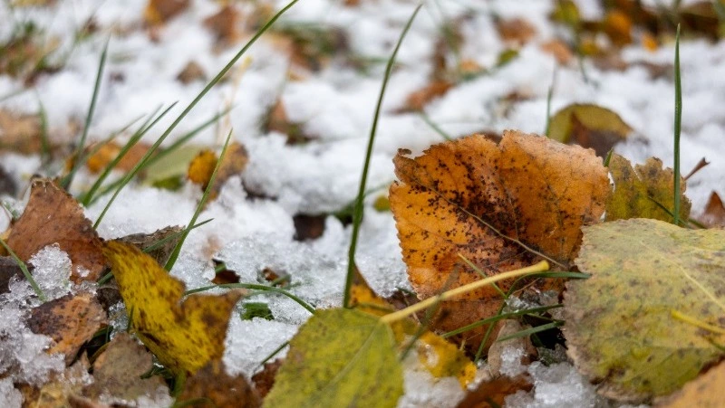 На Курилах пойдет снег, а юг Сахалина останется без осадков 27 ноября