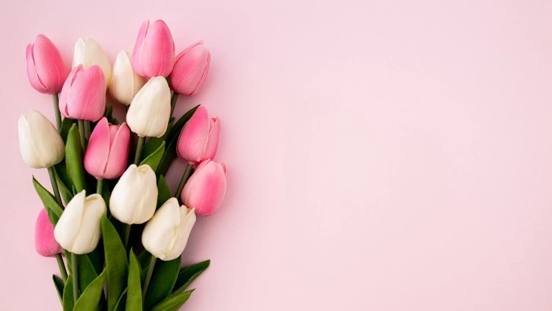 Эксперт рассказал о схемах, которые используют мошенники в преддверии 8 Марта