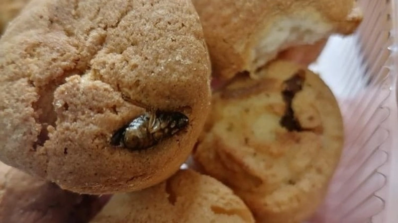 В Южно-Сахалинске продают эксклюзивную выпечку с запеченными тараканами