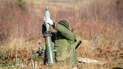 ВС РФ взяли под контроль Федоровку в ДНР