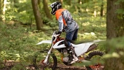 В России могут запретить продажу питбайков подросткам