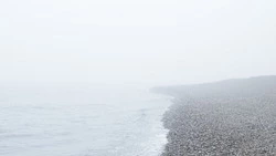 Затопленные улицы и тонны моллюсков на берегу: новости выходных в Сахалинской области