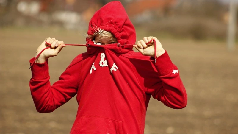 В ноябре сахалинские школьники смогут посещать занятия в свитшотах, худи и бомберах