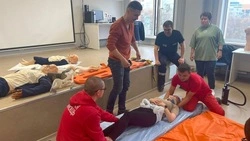 Врачи на Сахалине прошли обучение от специалистов из Центра имени Н. И. Пирогова