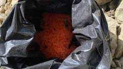 Сахалинец наловил кеты голыми руками на 44 тысячи рублей