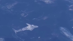 Участок земли в виде касатки обнаружили во время полета над Сахалином