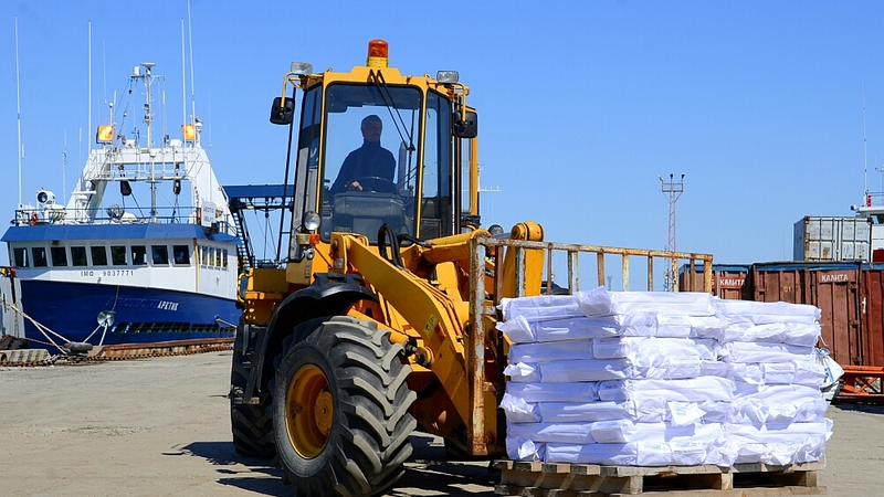 Проект рыбоперерабатывающего центра Корсакова будет готов к концу года