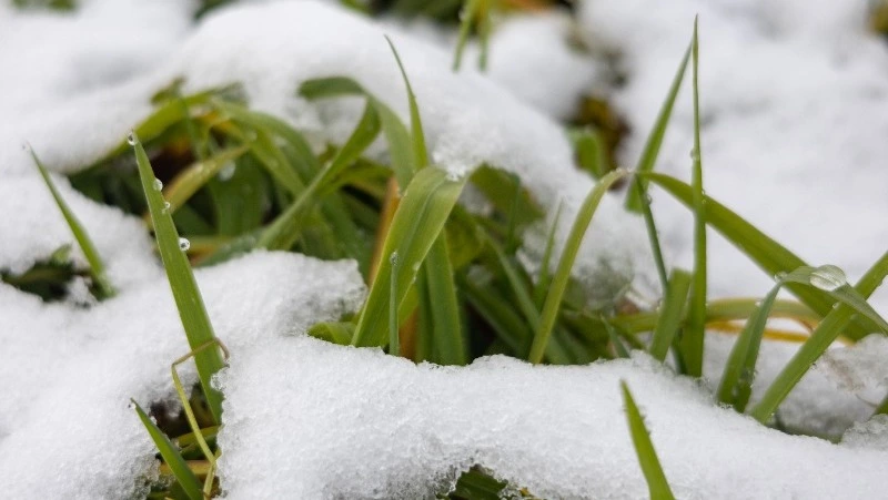 Похолодает и выпадет снег: подробный прогноз погоды на Сахалине и Курилах 4 декабря