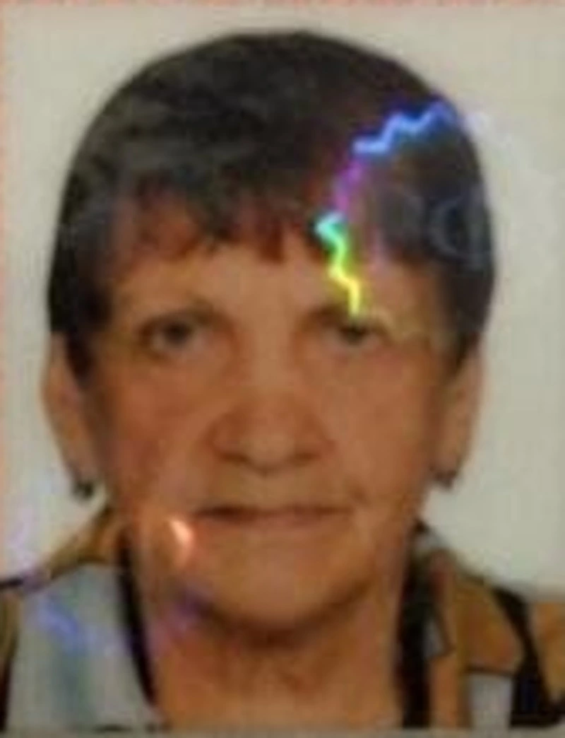 Пенсионерку из Холмска больше месяца ищет полиция Сахалинской области