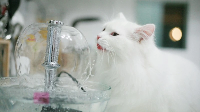 Детские сады, гимназия и десятки домов в Южно-Сахалинске останутся без горячей воды 25 августа