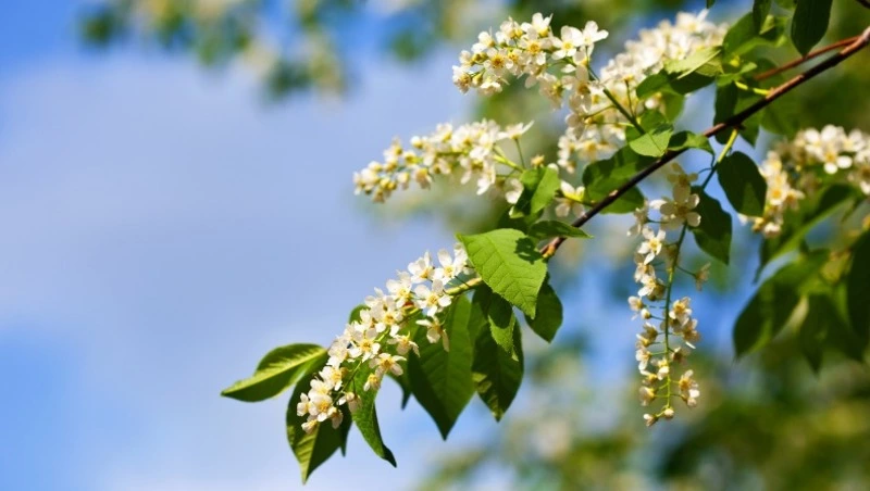 Церковный праздник 10 мая 2023: что нельзя делать в этот день, приметы