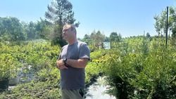 Пчеловодство — спасение от боли: как боец СВО развивает собственное сельское хозяйство на Сахалине