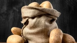 Беларусь поставит 15 сортов картофеля на Сахалин для испытаний