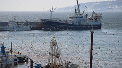 Американцы заговорили об ущербе от российских рыбаков