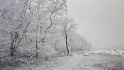 Сильный снег и ветер обещают в четырех районах Сахалина 5 января