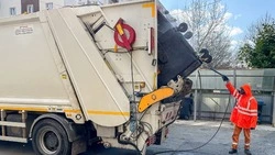 Мусорные контейнеры обработали от крыс в Сахалинской области