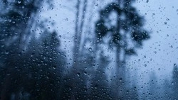 Юг Сахалина зальет дождем, а на Курилах потеплеет до +14 градусов 27 апреля