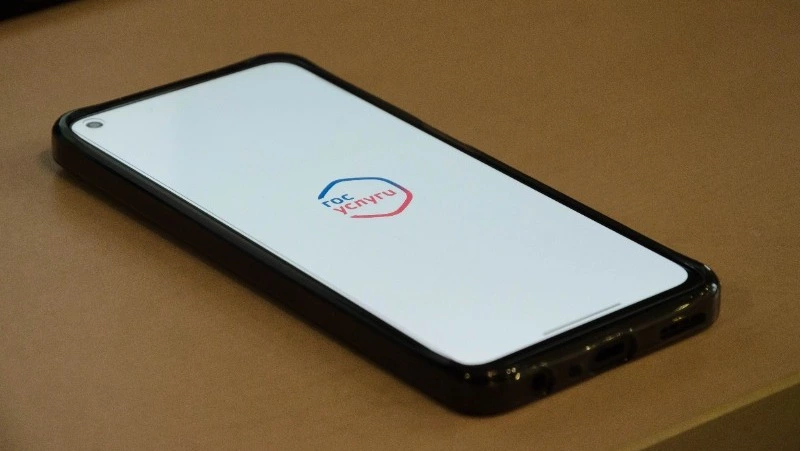 Бизнес Сахалина сможет решать проблемы на «Госуслугах»