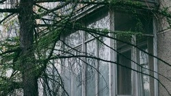 Директоров компаний в Сахалинской области оштрафовали на 75 тысяч рублей после жалоб островитян