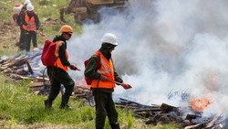 Почти 400 квадратных метров мусора сгорело на полигоне в Южно-Сахалинске