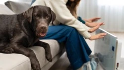 Детсады, больница и десятки домов Южно-Сахалинска останутся без отопления 17 февраля 