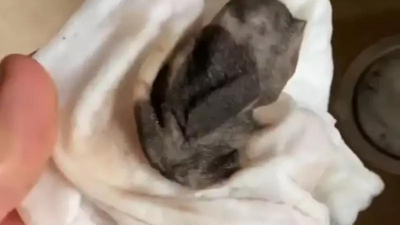 Вода с черной примесью льется из кранов в столице Сахалина