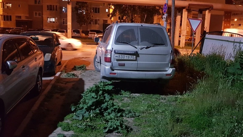 Сразу двух автохамов сфотографировали во время парковки на газонах в Южно-Сахалинске