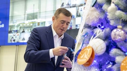 «Елка желаний» подарила чудо мальчику на севере Сахалина. Волшебником стал губернатор