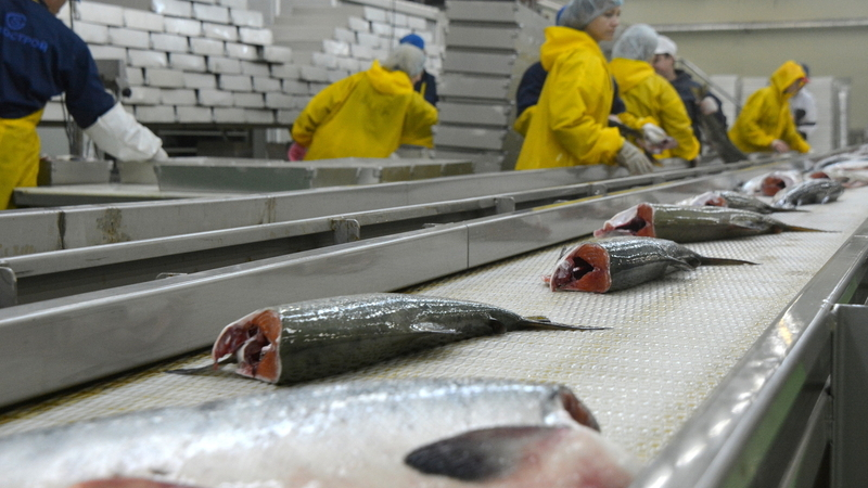 На Дальнем Востоке подешевел минтай