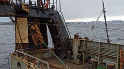 Смерть троих сотрудников на судне обернулась для сахалинца 2 годами колонии 