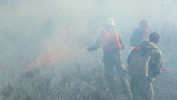 Лесные пожары на Сахалине будут тушить за 12 млн рублей в 2022 году
