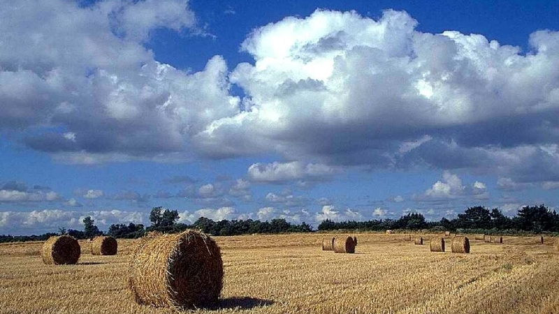 Лучшие инициативы по развитию сельских территорий области получат до 1 млн рублей