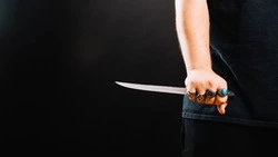 Сахалинку приговорили к семи годам заключения за поножовщину в подъезде