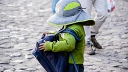 Мужчина украл сумку с детскими вещами на автовокзале Южно-Сахалинска