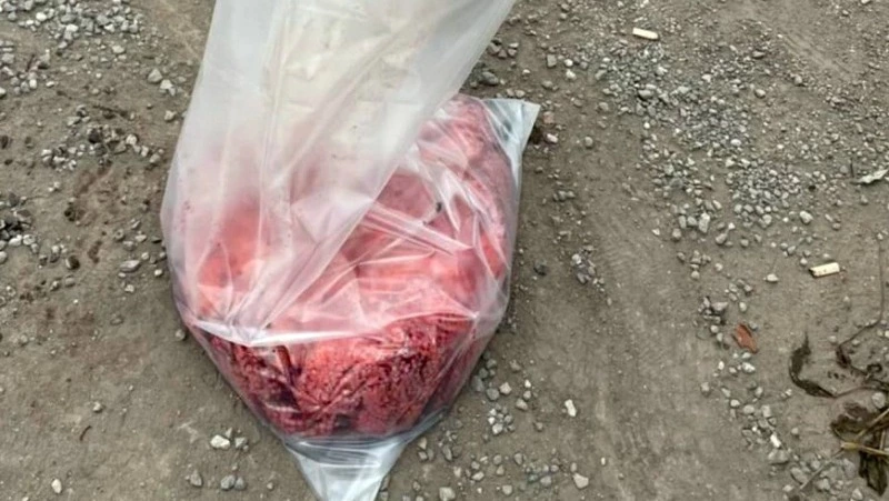 Несовершеннолетние браконьеры незаконно добыли почти 7 кг икры в Корсаковском районе