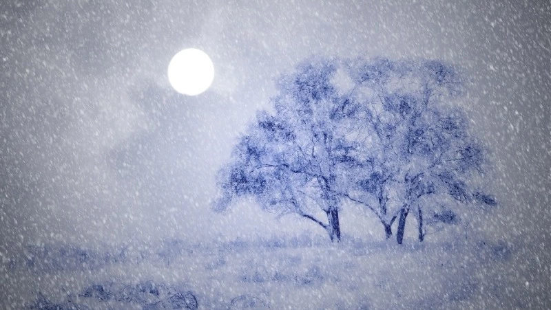 Новая порция снега и штормовой ветер: погода на Сахалине и Курилах 15 января