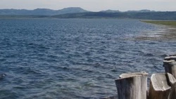 Лагуна Буссе станет местом разведения и выращивания моллюсков 