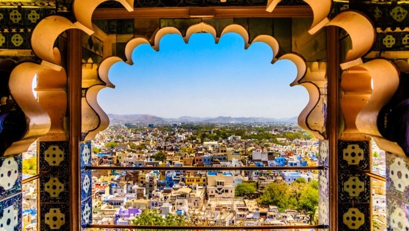 В Московской области выявили холеру, привезенную из-за границы