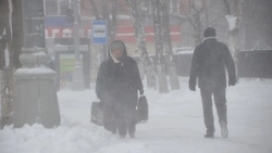 На Сахалин надвигается очередная метель