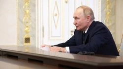 Путин призвал кабмин рассмотреть поддержку киноиндустрии на Дальнем Востоке