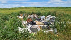 Кучу мусора у озера Буссе уберут после многочисленных жалоб