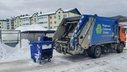 Сахалинцы поставили рекорд по раздельному сбору вторсырья: 327 тонн за март