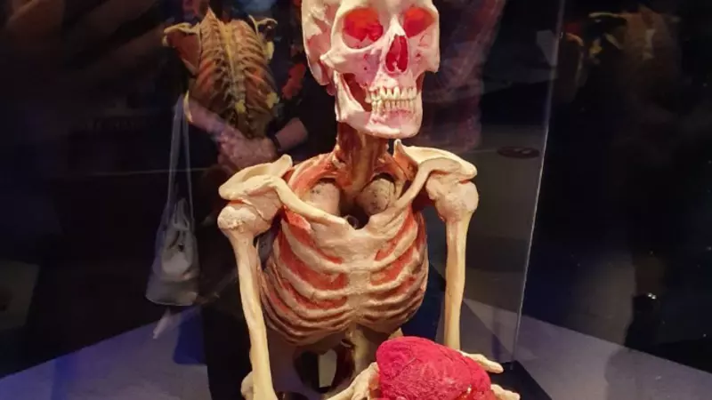 Сахалинка оценила скандальную выставку мертвецов в Москве, которую проверяют следователи