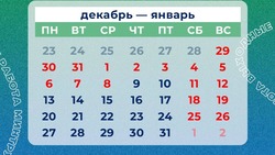 Минтруд РФ: первая рабочая неделя в 2025 году будет двухдневной