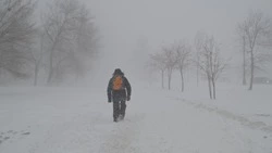 Ураган придет на Курилы днем 29 ноября