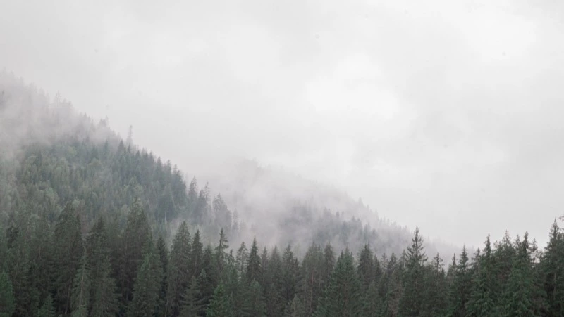 Прогноз погоды на Сахалине и Курилах 13 сентября: облачная погода и дожди 