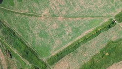 В Госдуме предложили предоставлять землю под строительство всем россиянам